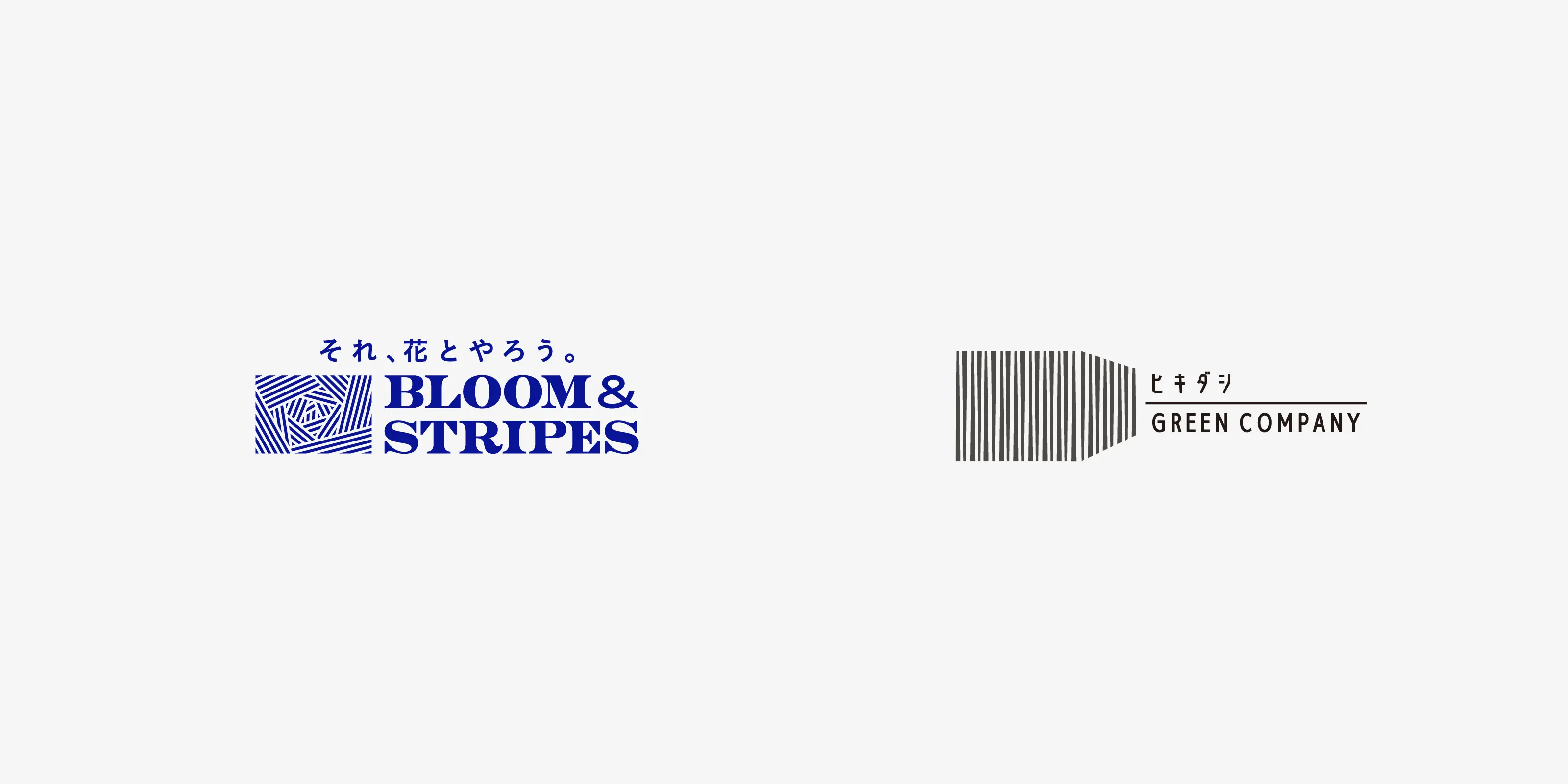 BLOOM&STRIPES / ヒキダシ GREEN COMPANY